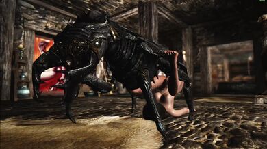 Big Bug Boned and Banged Hard