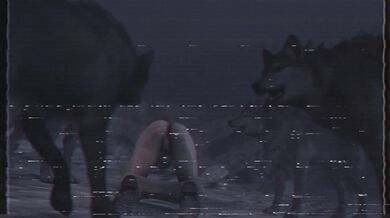 Bitches love to fuck mutts in the ass, and these horny babes are no different!