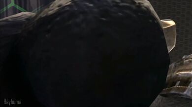 HMV's 'No Penetration' Ruling In BRAT's Urethra!