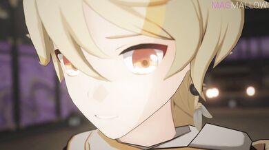 [MagMallow]'s Aether x Raiden