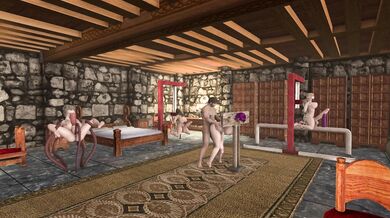 Futa Instruction: How to Train Your Dickgirl for Maximum Pleasure and Performance