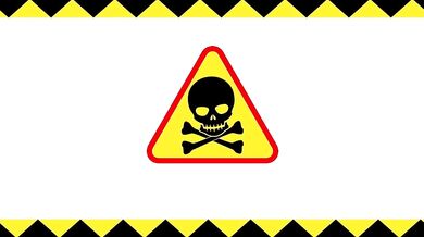 'The Hidden Desires of a Lovestruck Cat Girl'