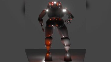 Elderly Fowl Deadly Business