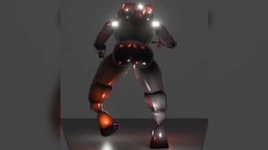 Elderly Fowl Deadly Business