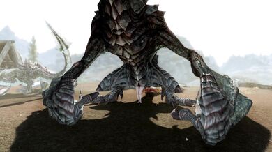 Dragoness gives birth to a new world