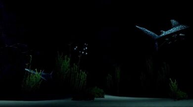 Gangbang of the Eight Sisters: A Forbidden Love Story