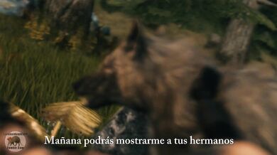Perro fantasía I: La naturaleza [Señor Ordenador] (Español sub)