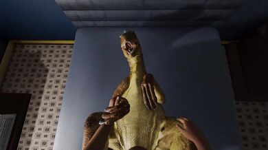 'Vula's ark survival evolved'