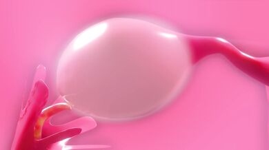 Aerith's Ovaries Taken by Monstrous Tentacles