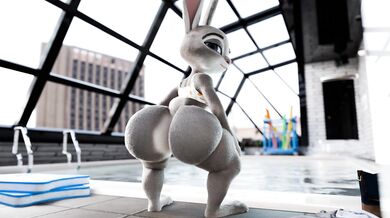 'Judy's Poolside Romp'