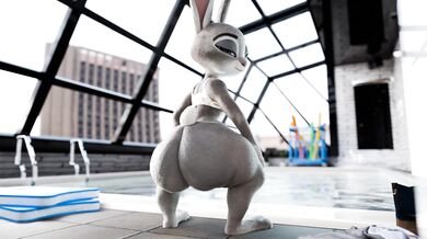 'Judy's Poolside Romp'