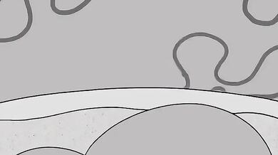 Squirrel Orgasms with Sheriff MJ1