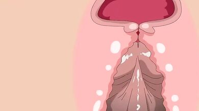 'Dora gets pounded by BBC'