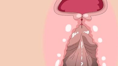 'Dora gets pounded by BBC'