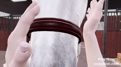 The Virtual Reality Stallion's Point of View in Gameplay oror VR Porn: POV Gameplay with the Sexy StallionExperience VR Stallion, a 3D sandbox game for Virtual Reality and Desktop that enables players to interact with characters and animations using