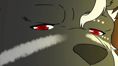 Busted on my Wedding Night: The Honeymoon of a Lifetime