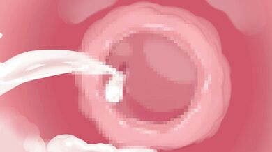 'Kemono Friends - Aurochs and Bunny, Kiss Me Harder! (Naochi's Cowgirl)'