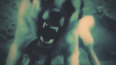 Hey guys, it's me again with some new releases that you won't be able to keep your hands off! I promise these will leave you begging for more!