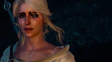 Ciri and Yennefer's Legendary Lesbian Love Lives: The Complete Collection