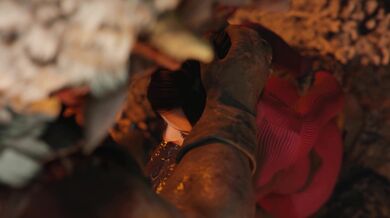 Big Bad Brother Brawls with the Babysitter