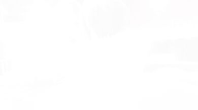 MagicalMysticVA Voice presents: 'Guess who Aced the winter exams~!'