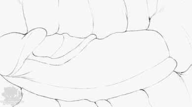 Forbidden Love: A Naga's Impregnation Animation