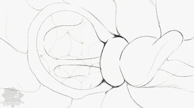 Forbidden Love: A Naga's Impregnation Animation
