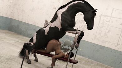 'The Stallion's Pet'