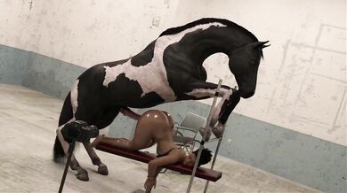 'The Stallion's Pet'