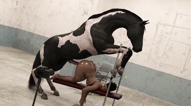 'The Stallion's Pet'