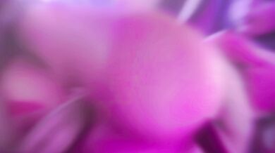 Agora Hills: A x3d/FPSblyck Edit of Unbridled Lust