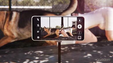 Schoolgirl gets her pussy licked and fucked by a horny dog while enjoying the outdoor view of the schoolyard