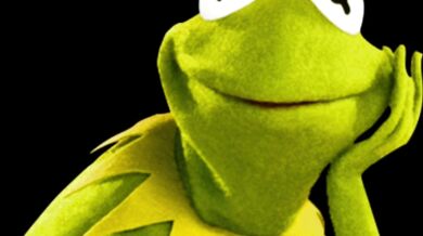 Snu Snu in the Future: A French Submission