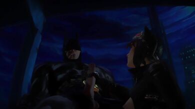 Feline Frolicking in the Dark Knight's Den