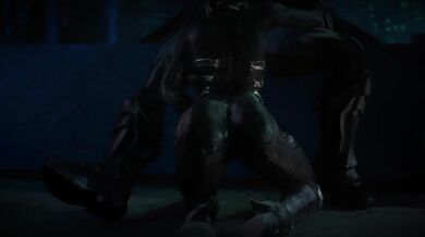 Feline Frolicking in the Dark Knight's Den