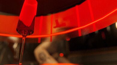 Judy's Body for Sale