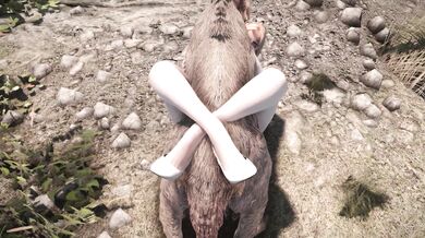 After the Afterglow [Dreams of Steel]