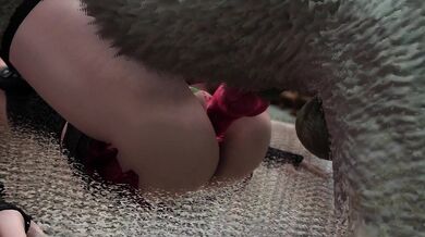 Furry Fuck Fest