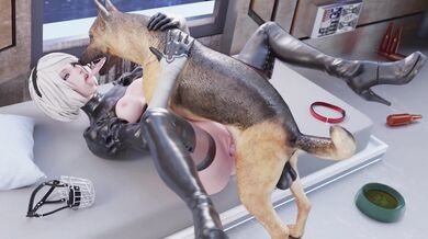 Canine Fanatics - A Berokisu Tribute