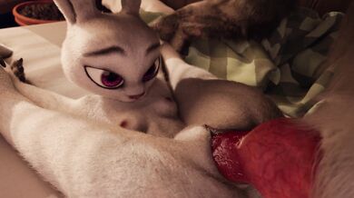 Bunny Girls Get Fucked Hard in 'YMV' Rewind!