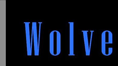 I Want to Fuck a Furry Slut (PMV)