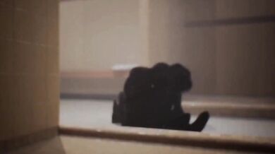 Taken Over by a Parasitic Sex Organ: The Invasive Symbiosis of a Viral Outbreak