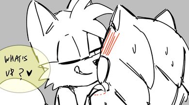 Sonic's Wife Tails Slut-Shames Him with Her Moist Cunt in Public [xhamster]