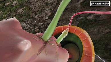 Eclair's Secret Sperm Maze: Squeeze Semen Woodland Part 1 [Seventh Road Crossing]