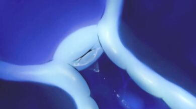 The Tentacular Love of exv508