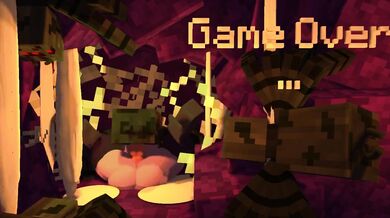 Spider Breeder Nutting