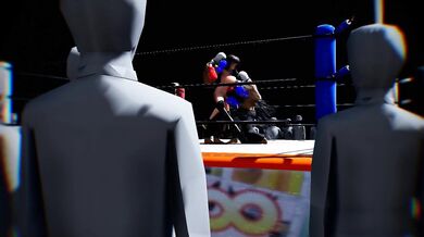 Furious Fists Fly in the Ring During Intense Boxing Match