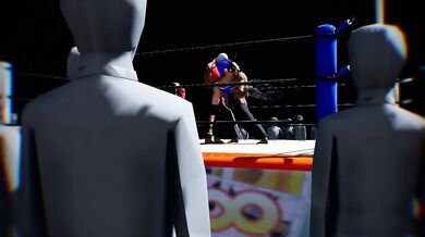 Furious Fists Fly in the Ring During Intense Boxing Match