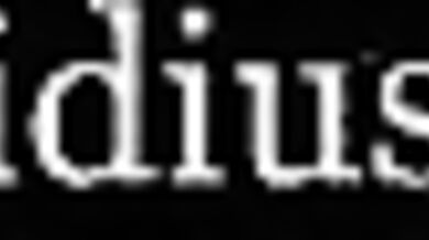 St. Paddy's Day Debauchery Unleashed: Extended Version