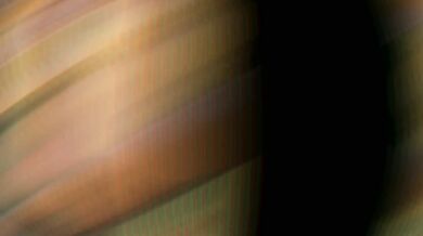 Gay Furry Frenzy: PMV Edition